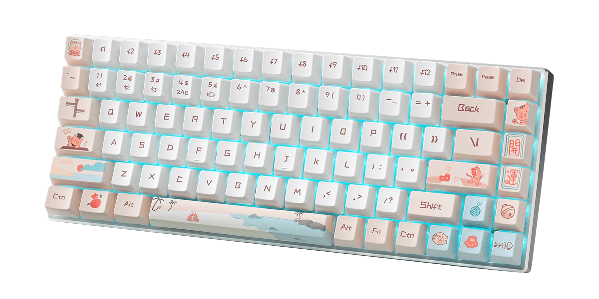 Bàn phím cơ Gaming Rapoo MT510PRO - WHITE YELLOW